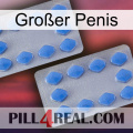 Großer Penis 20